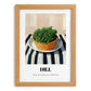 Dill – on Striped Tablecloth, Fresh Herbs Wall Decor, set in oak frame