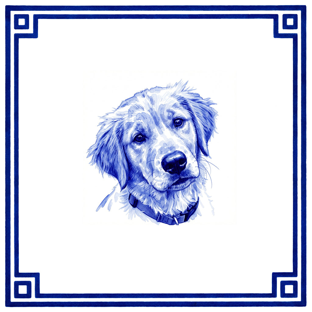 Pet Portrait