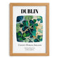 Dublin, Ireland – National Pride Wall Decor, set in oak frame